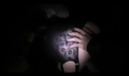 در فیلم سگسی 2018 صورتی عاشق در آشپزخانه